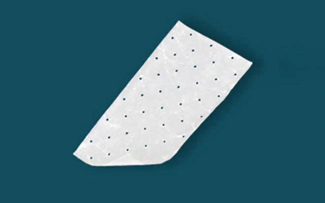 ผลิตภัณฑ์พี่สาวทางชีวภาพ