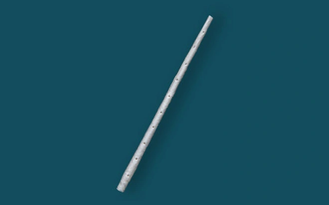 ปลั๊กเสียบก้น