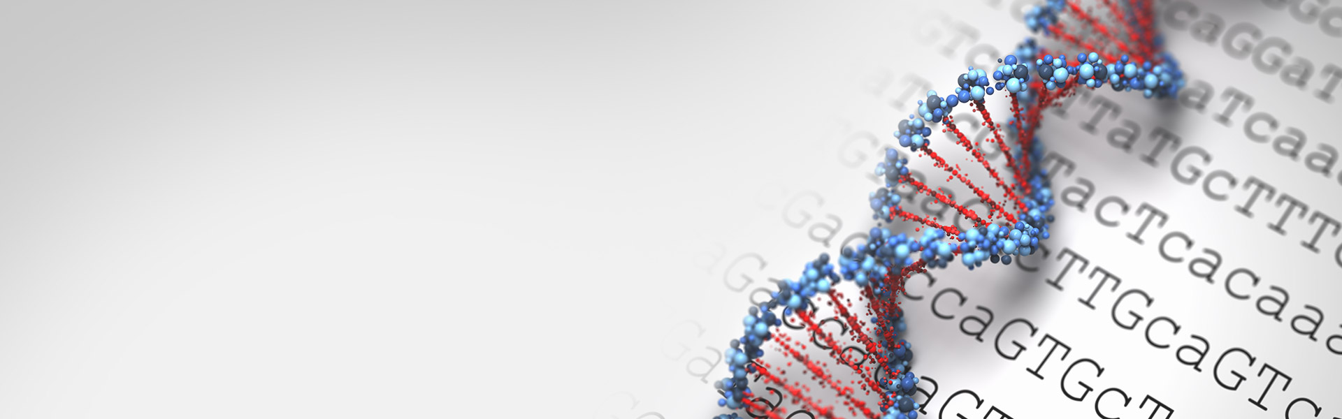 คุณสมบัติของ