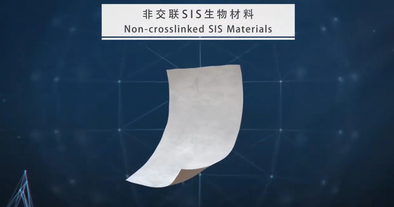 SiS bioresorbable ตาข่าย